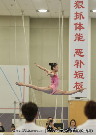 8868体育游戏下载详细解说