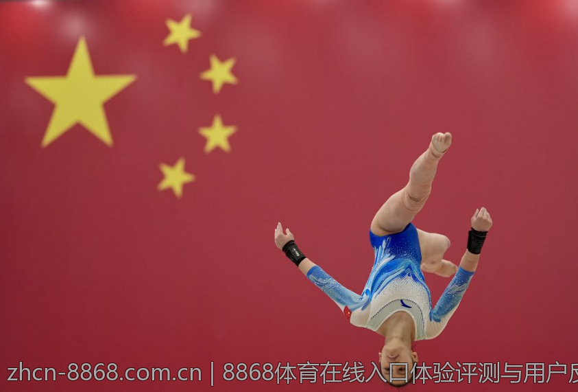 8868体育在线入口体验评测与用户反馈