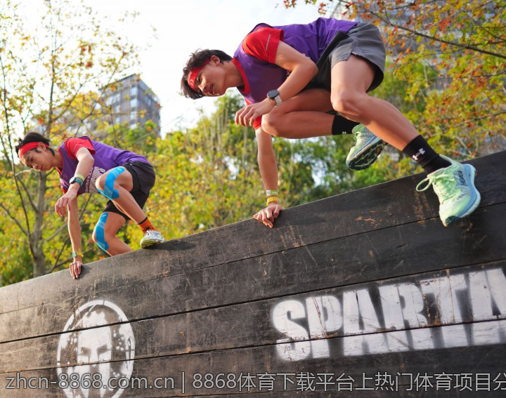 8868体育下载平台上热门体育项目分析