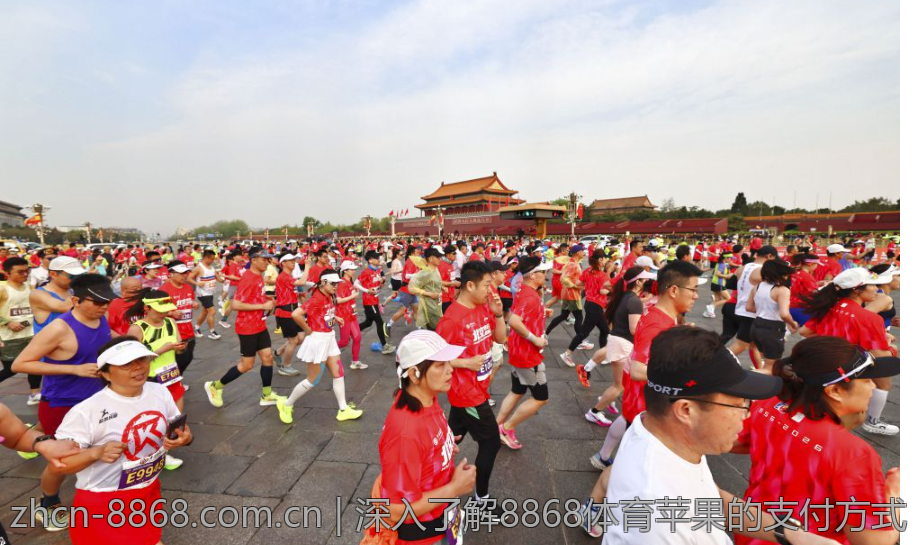 深入了解8868体育苹果的支付方式